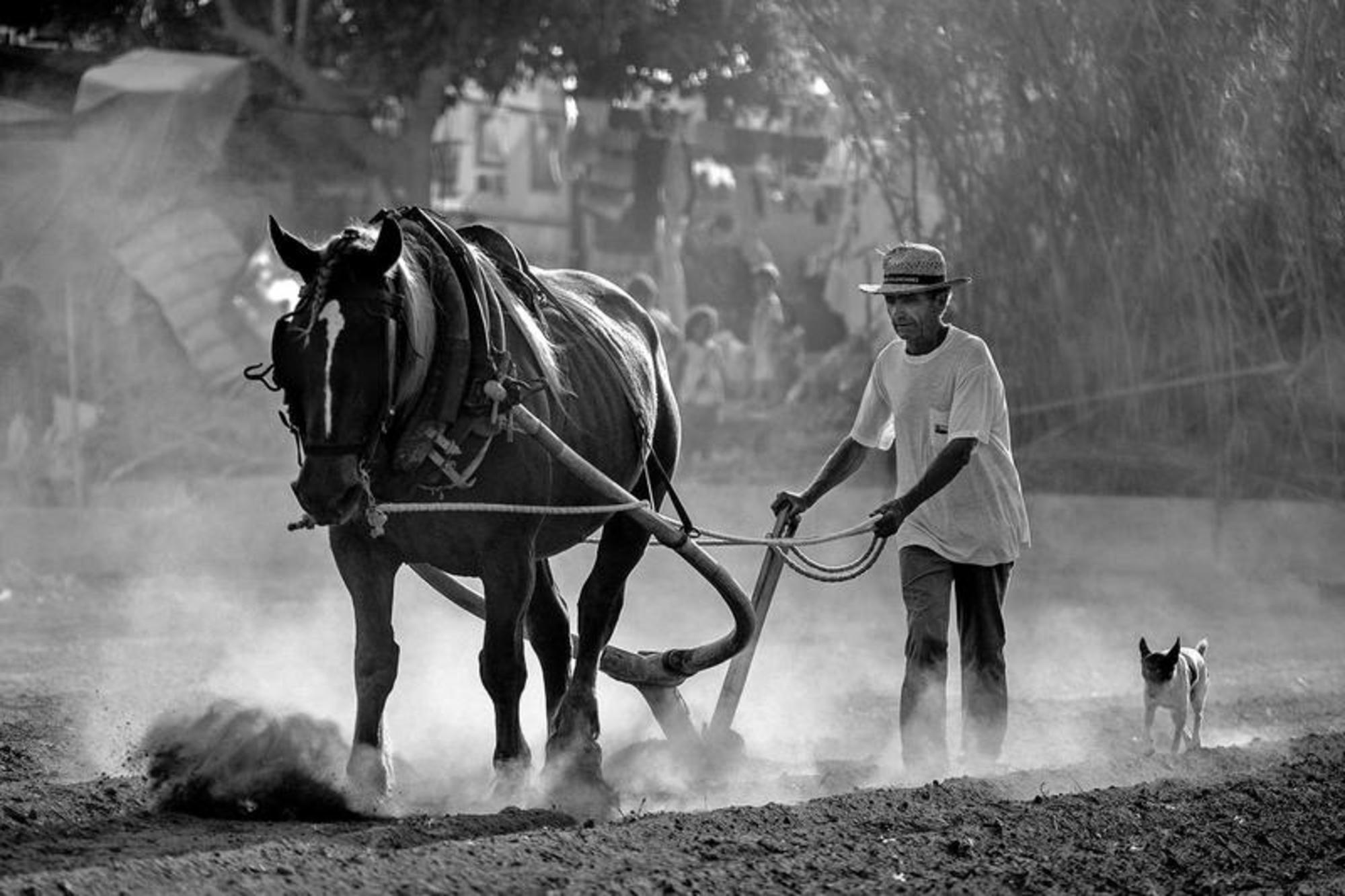 David Segarra cuerpo valenciano